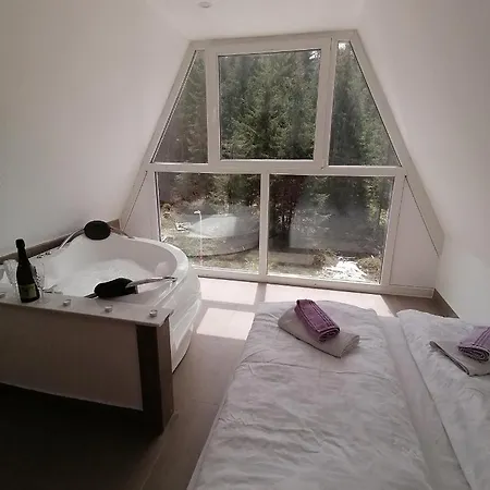 Vikendica Na Vlasicu Dusica Vlasic