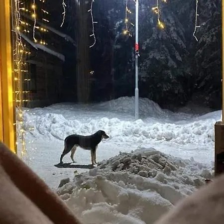 Vikendica Na Vlasicu Dusica Vlasic